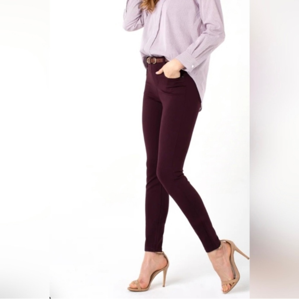 Stitch Fix Liverpool skinny pants